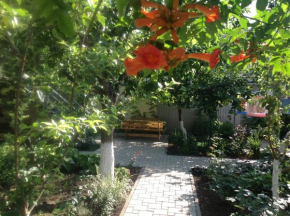 Guest House Arina